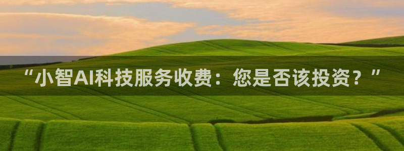“小智AI科技服务收费：您是否该投资？”