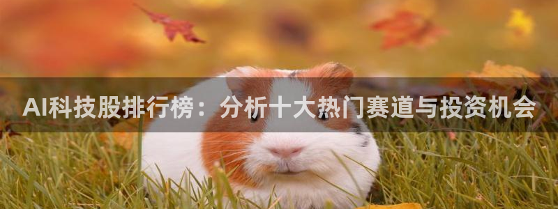 AI科技股排行榜：分析十大热门赛道与投资机会