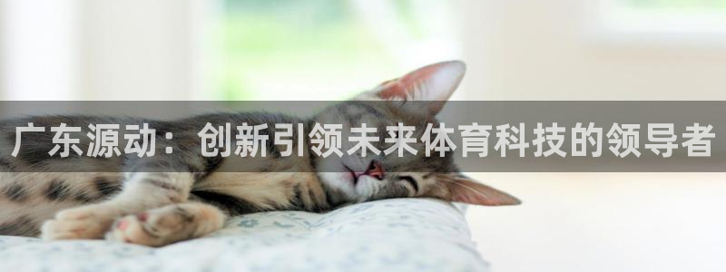 广东源动：创新引领未来体育科技的领导者