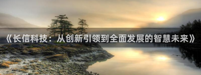 《长信科技：从创新引领到全面发展的智慧未来》