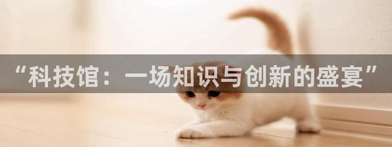 “科技馆：一场知识与创新的盛宴”