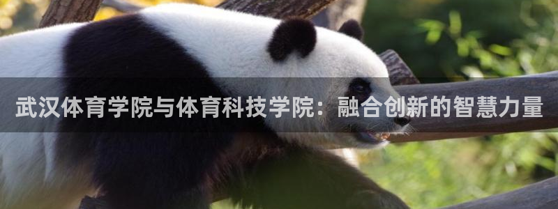 武汉体育学院与体育科技学院：融合创新的智慧力量