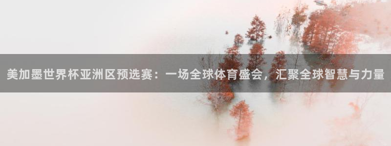 美加墨世界杯亚洲区预选赛：一场全球体育盛会，汇聚全球智慧与力量